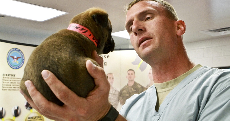 The Top 5 Reasons for No-Shows at Your Veterinary Practice.png