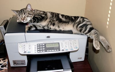 PetDesk Support Cool Cats at desks PetDesk Support Cool Cats at desks